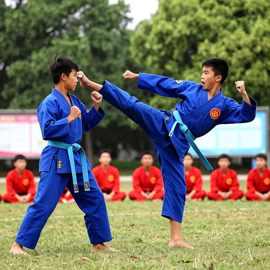 The Missing Data Layer of Vietnamese Martial Arts