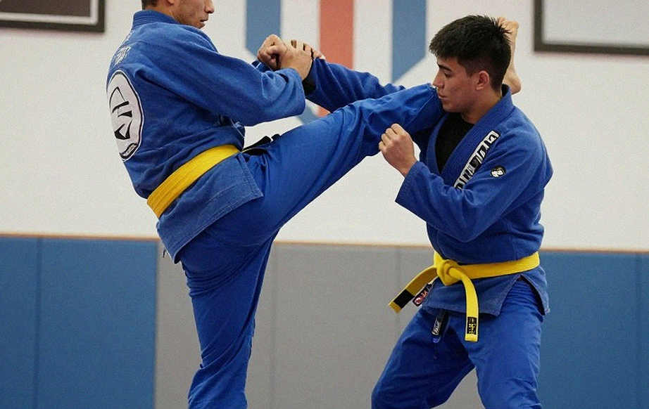 27 Triều Đại Và Chiếc Đai Trống: Sự Thật Về Hạng Nặng UFC